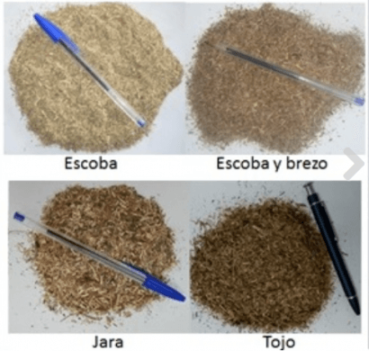 Matorrales, bosques y agricultura para un suministro sostenible de bioenergía