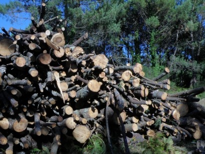 La bioenergía también copa los proyectos europeos NER300 de la UE