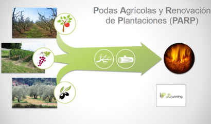 España concentra la cuarta parte del potencial europeo de podas agrícolas para producir energía térmica