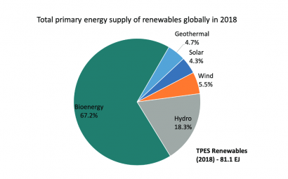 Cierra el año con el vademécum de la bioenergía: Global Bioenergy Statistics 2020