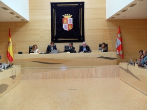Castilla y León se une al sector para reclamar una rebaja del IVA de la biomasa forestal