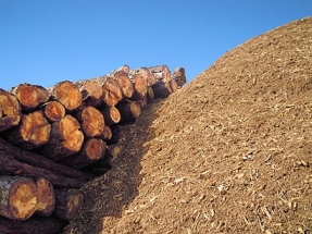 España ya puede atender toda su demanda de energía con biomasa