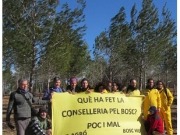 Denuncian la concentración de ayudas para biomasa forestal en la Comunidad Valenciana