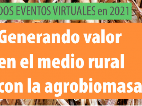 Agrobioheat acerca experiencias en el uso de agrobiomasa, desde España a la India