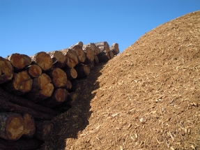 La comarca de Requena calentará sus instalaciones municipales con biomasa
