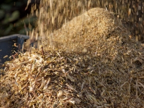 Prueban con éxito un proyecto que emplea residuos de biomasa para convertir CO2 en productos químicos de alto valor
