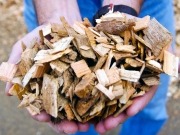Se buscan empresas valencianas para un proyecto europeo sobre biomasa