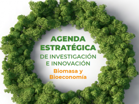 La agenda de investigación e innovación en biomasa no descarta mantener centrales de carbón con biocombustibles