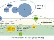 European biopower market will grow, albeit slowly, until 2035