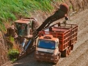 La generación por biomasa supera la de una represa gigante