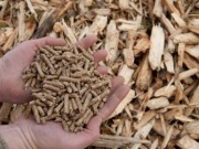 Los pellets en Canadá ya tienen su certificación de calidad