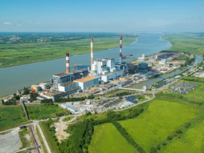 Francia abre también la puerta a la biomasa en grandes centrales de carbón