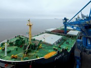 Récord mundial de importación de pélets en un solo carguero: 60.000 toneladas