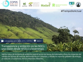 Bioenergía desde el minuto uno en la COP25, pero no desde España