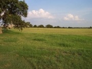 “Not the right time to call for more idle agricultural land,” warns biofuels association