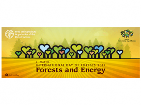 Biomasa forestal para energía: FAO y forestales, sí; ecologistas, no