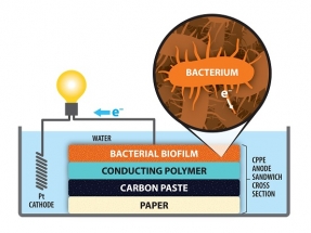 Lodos de depuradoras para alimentar pilas de combustible microbianas