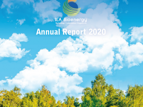 Nuevos informes de Bioenergy Europe e IEA Bioenergy reiteran la necesidad de apoyo a la bioenergía