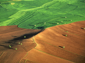 El IPCC cree en la bioenergía para luchar contra el cambio climático con una buena gestión de la tierra