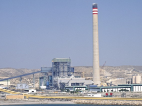 La biomasa se aleja de las centrales de carbón de Endesa