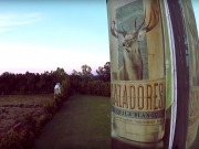 Biomasa para alimentar calderas que producen tequila