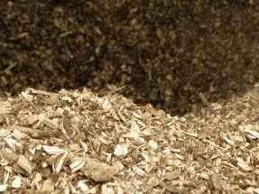 APPA pide subastas específicas para biomasa, biogás y residuos renovables