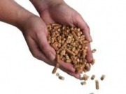 Pellets Asturias, primera empresa en conseguir el sello ENplus en España