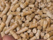 En 2019, con casi 7 millones de toneladas, se exportaron un 15 % más de pellets que en el año anterior