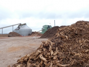 Ence comienza la tramitación de dos centrales de biomasa en Puertollano, una hibridada con termosolar 