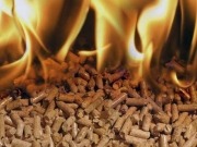¿Es posible una transición energética con poco peso para la biomasa?
