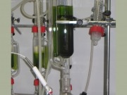 Cómo integrar la producción de microalgas en otros procesos industriales