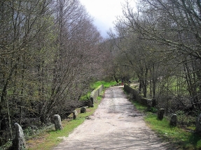 Las ayudas a la biomasa llegan al Camino de Santiago en Castilla y León y al medio rural en Madrid