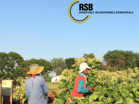 El esquema de certificación de biocarburantes RSB incluye el cambio indirecto del uso de tierras