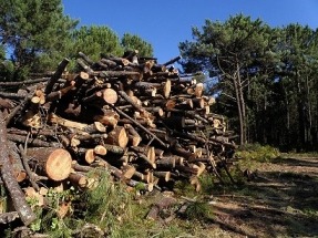 Galicia amplía en 600.000 euros sus ayudas a la biomasa para particulares