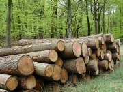 Proponen el desarrollo de la biomasa para evitar recortes sociales