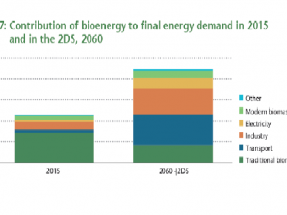 La bioenergía mundial espera cuadruplicar sus números hasta 2060