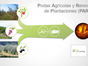 España concentra la cuarta parte del potencial europeo de podas agrícolas para producir energía térmica