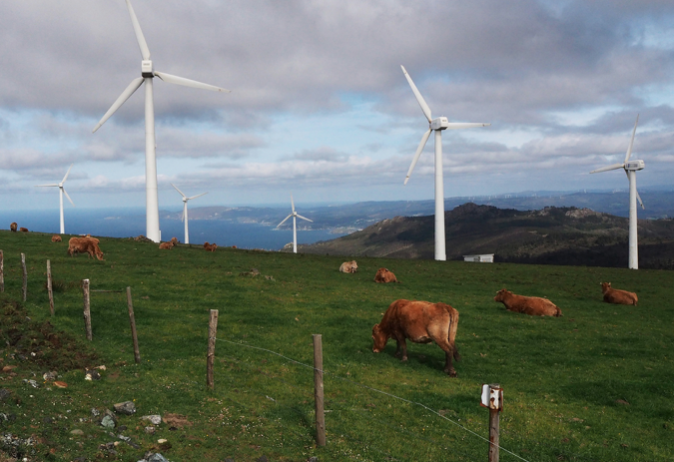 El Ministerio para la Transición Ecológica frena el desarrollo de 400 MW eólicos en León