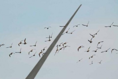 El Tribunal Supremo confirma la paralización de un parque eólico en la montaña leonesa