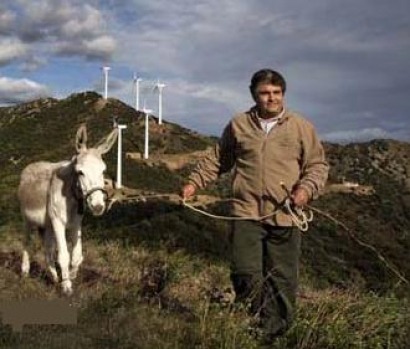 Los ecologistas vuelven a parar la eólica en Cataluña