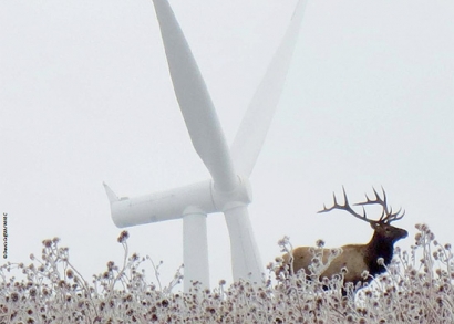 La eólica cumple su promesa y aporta cada vez más electricidad libre de CO2 al mundo