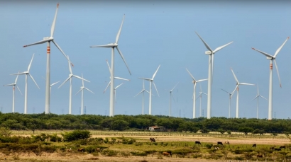 Yucatán: Inauguran el parque eólico Dzilam Bravo, de 70 MW, el primero del estado