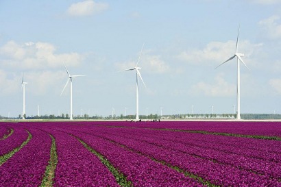 Senvion refuerza su presencia en Holanda