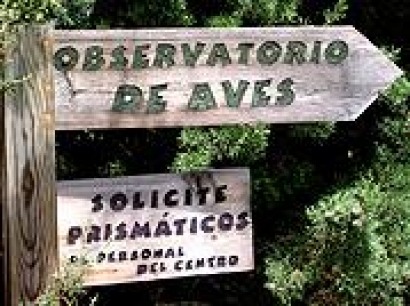 Los ecologistas temen que la eólica cause un "desastre ambiental" en Castilla La Mancha