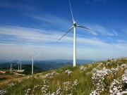 Acciona presenta un ERE en su plantilla de renovables por los recortes del Gobierno