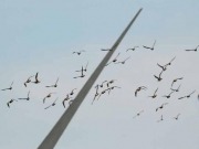 El Tribunal Supremo confirma la paralización de un parque eólico en la montaña leonesa