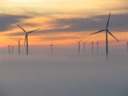 Condors and wind turbines: Green-vs-green conflict revisited