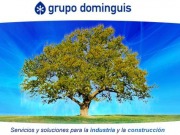 Grupo Dominguis entra en el sector eólico