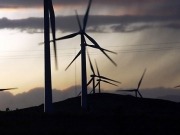 “No hay que criminalizar la energía eólica, sino a los políticos corruptos"