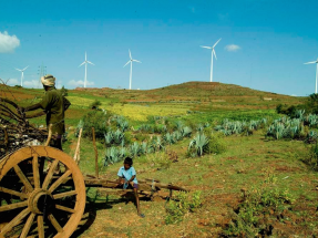 El mundo ya genera con el viento el 5% de la electricidad